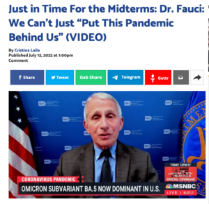 该网站是极右翼假新闻网站The Gateway Pundit，以发布虚假信息、骗局和阴谋论而闻名